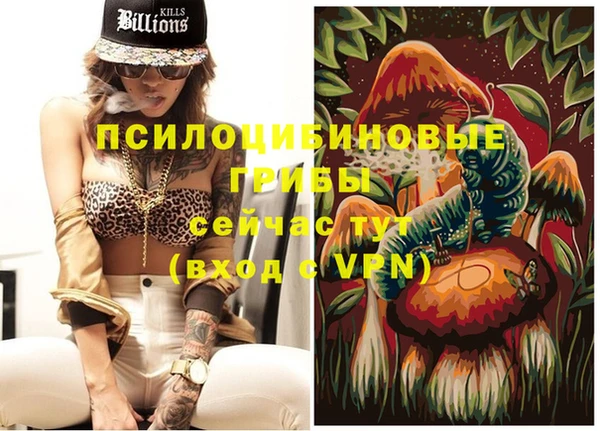 спайс Абаза