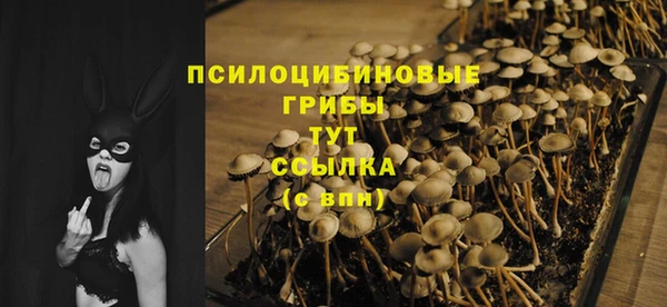 гидропоника Абинск