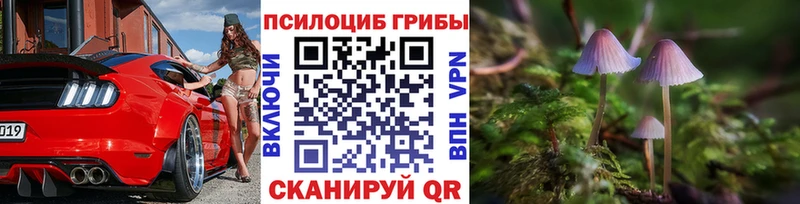 купить цена Гагарин Галлюциногенные грибы Magic Shrooms