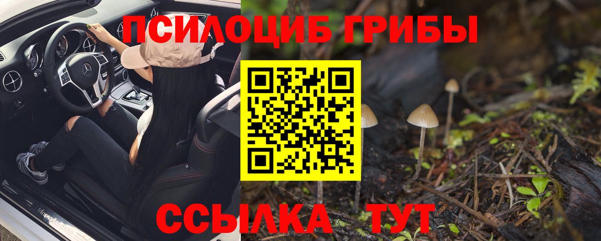 даркнет сайт  Вход с VPN  Гагарин  Галлюциногенные грибы MAGIC MUSHROOMS 