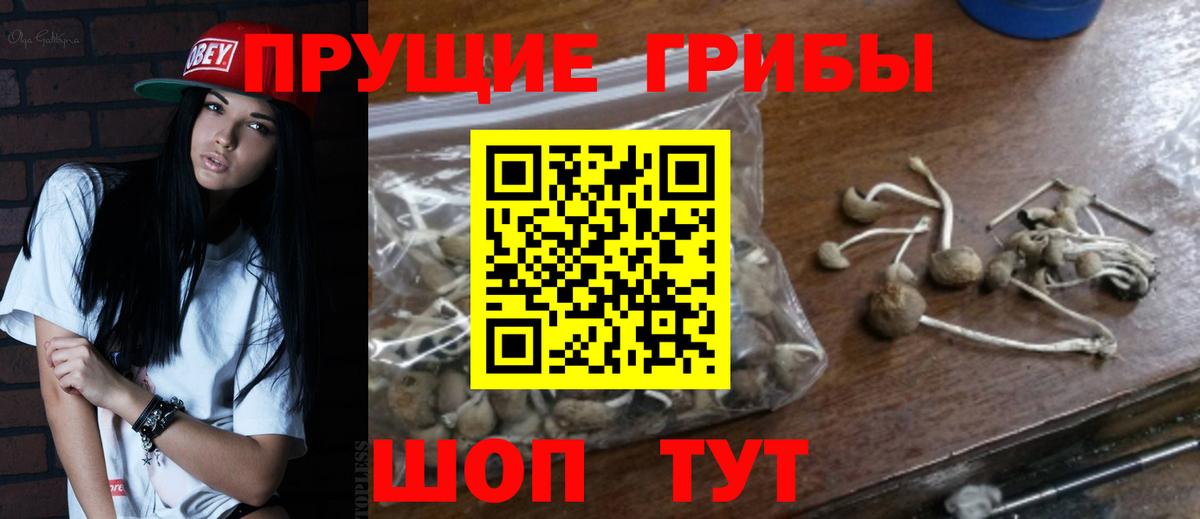 Гагарин  Псилоцибиновые грибы GOLDEN TEACHER  купить закладку  Вход с VPN 