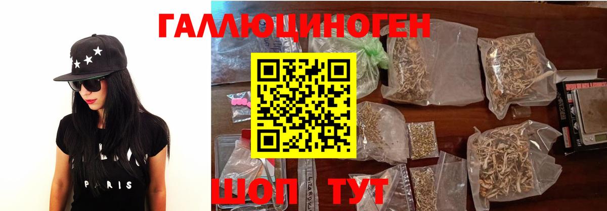 Галлюциногенные грибы Psilocybe Гагарин
